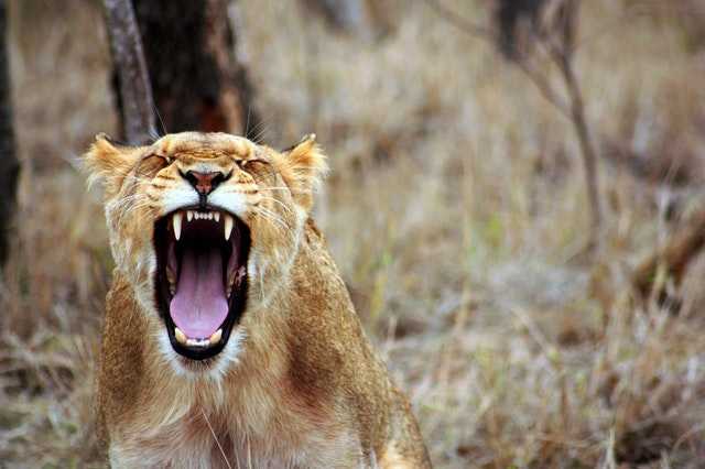 What are the health benefits of Ramadan? 9 Control your anger and make use of Ramadan