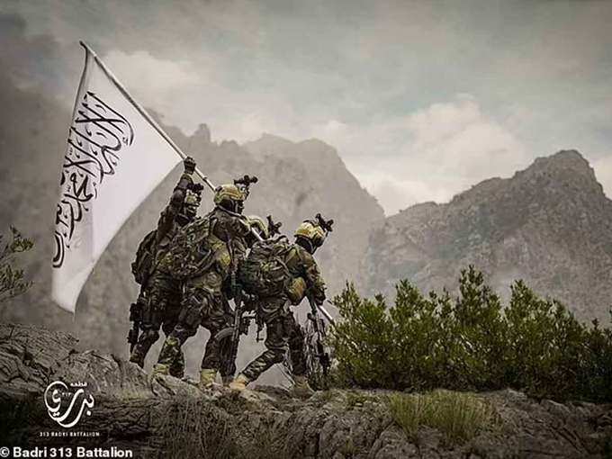 Badri 313 - A Comprehensive Report 1 badri 313 battalion